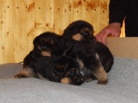 /album/a20-days/stence-e-vrh-013-jpg/